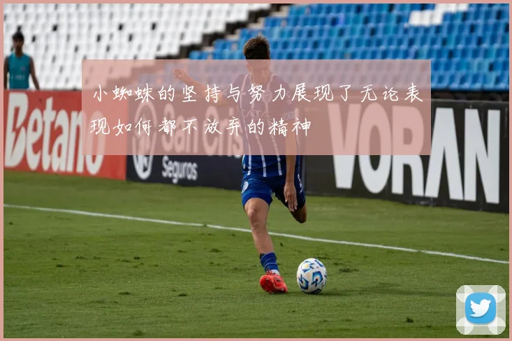小蜘蛛的坚持与努力展现了无论表现如何都不放弃的精神